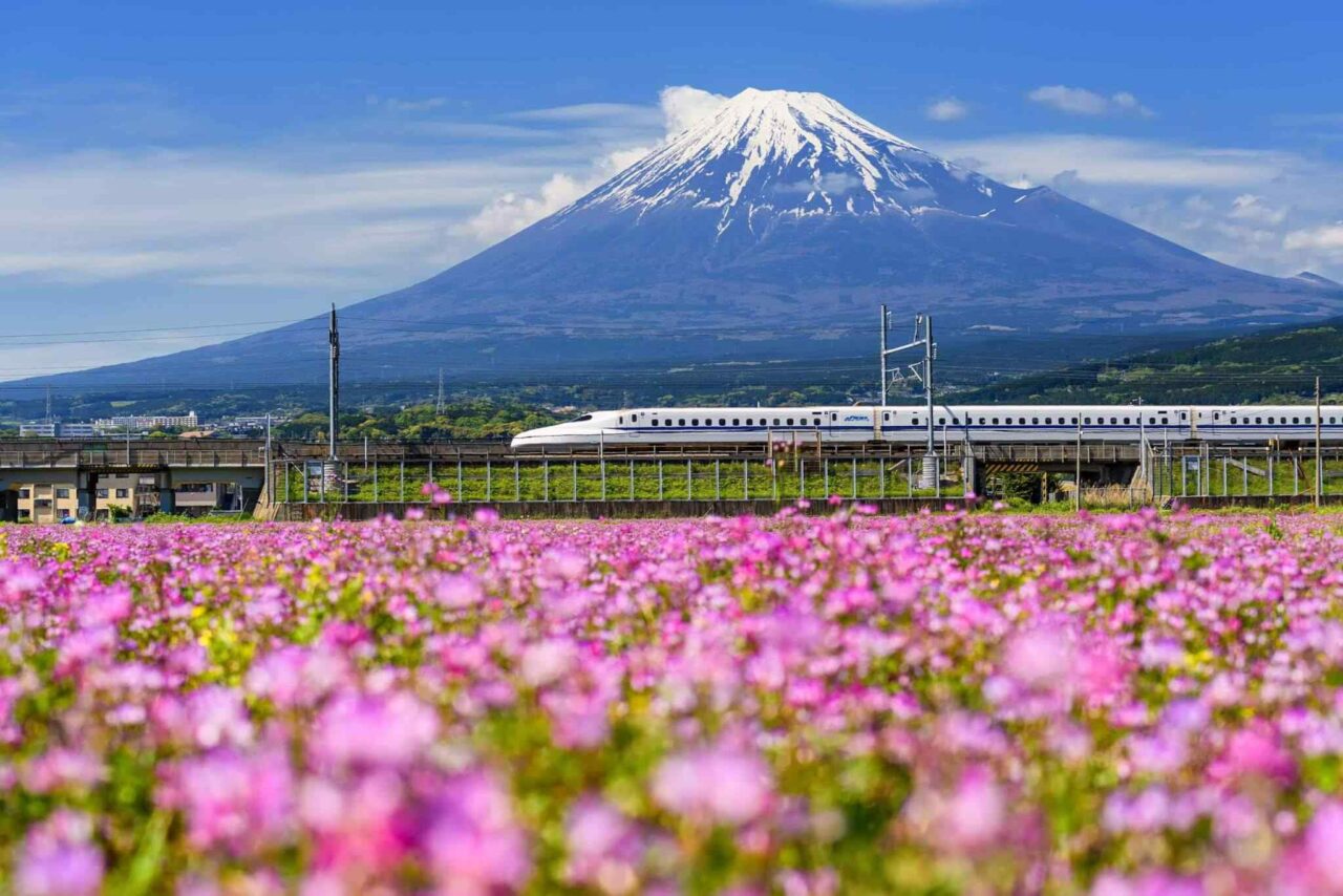 https://wondertravel.ec/wp-content/uploads/2018/09/tour-osaka-04-1280x854.jpg